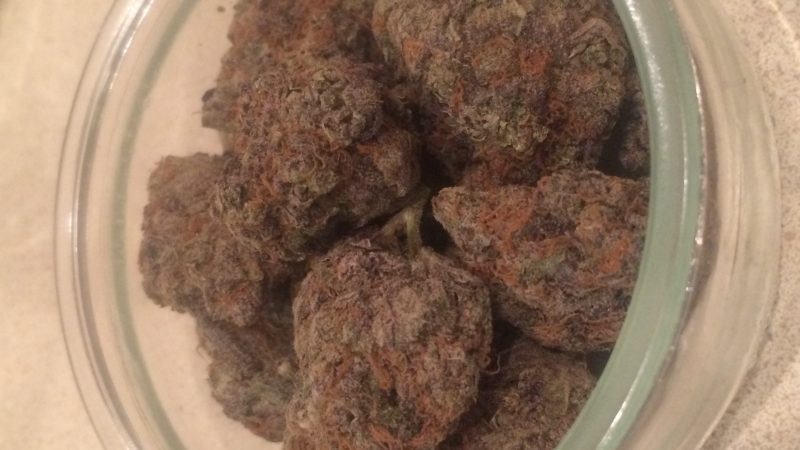 Weed price Prague. 
                    Buddah Kush Marijuana Strain