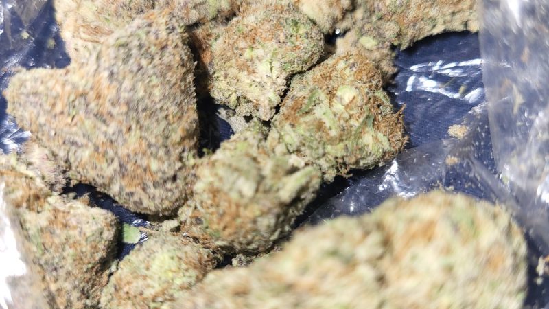 Weed price Prague. 
                    Nerds Marijuana Strain