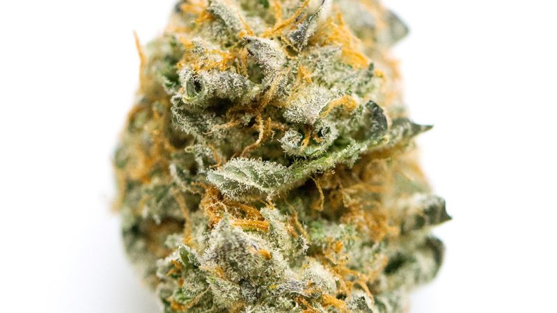 Weed price Prague. 
                    Gas N Fruit Marijuana Strain