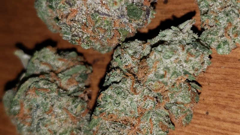 Weed price Prague. 
                    Citral Skunk Marijuana Strain