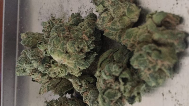 Weed price Prague. 
                    SFV OG Kush Marijuana Strain