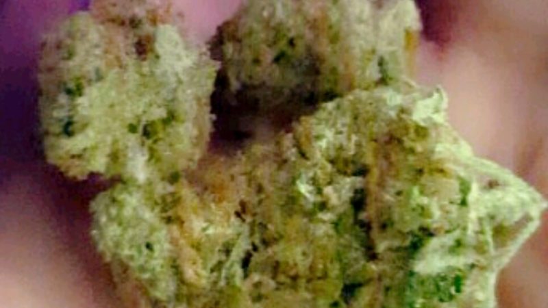 Weed price Prague. 
                    Royal Queen Marijuana Strain