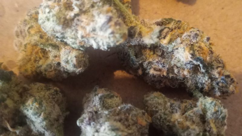 Weed price Prague. 
                    Platinum Kush Breath Marijuana Strain