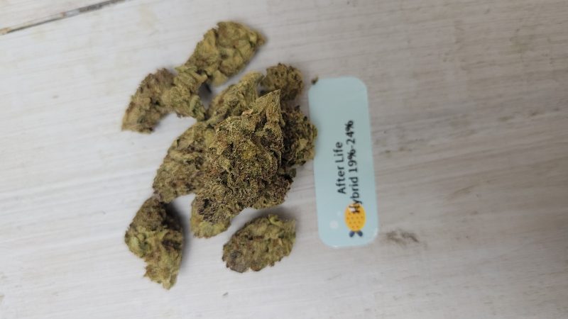 Weed price Prague. 
                    After Life OG Marijuana Strain