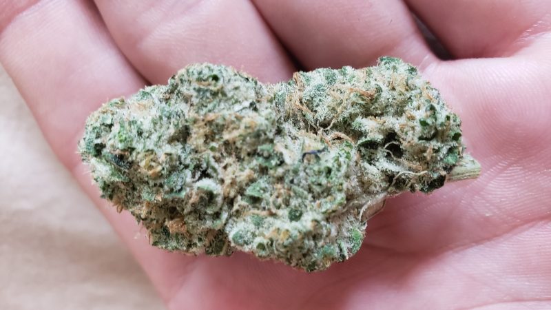 Weed price Prague. 
                    white bubba Marijuana Strain