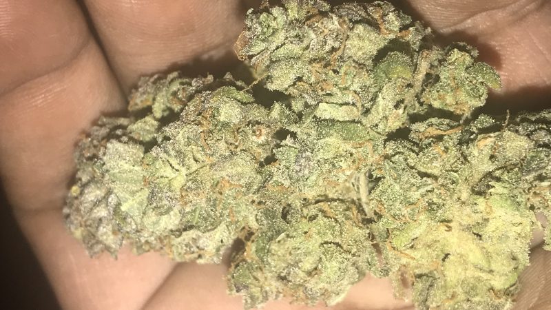 Weed price Prague. 
                    Pina Colada Marijuana Strain