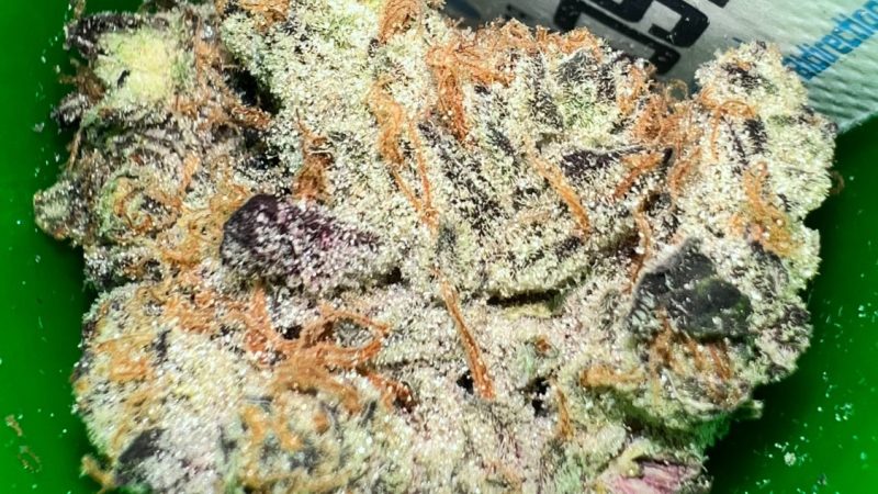 Weed price Prague. 
                    Triple Burger Marijuana Strain