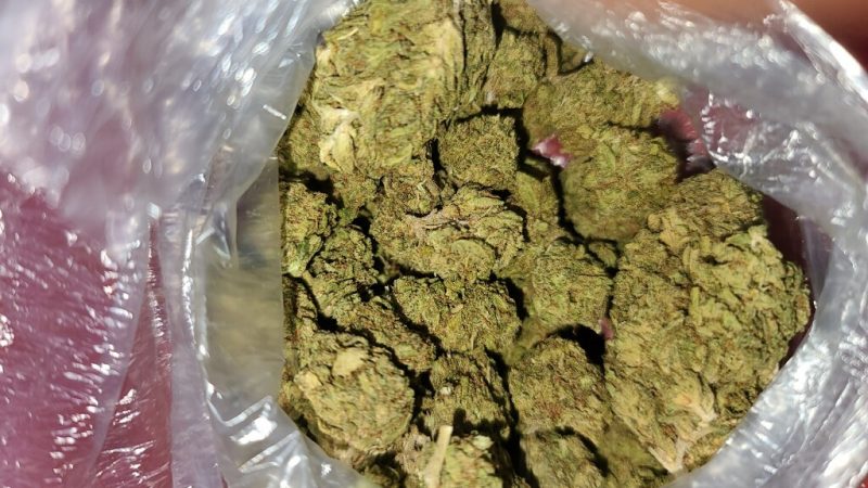 Weed price Prague. 
                    Tangerine Marijuana Strain