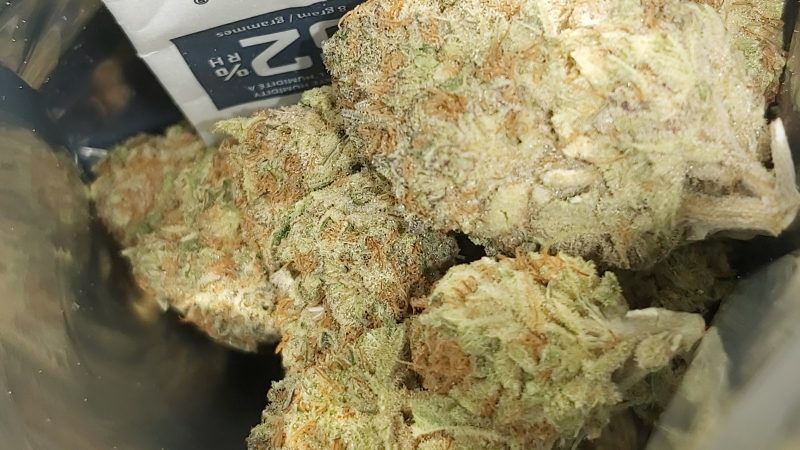 Weed price Prague. 
                    Blue Dream Haze Marijuana Strain