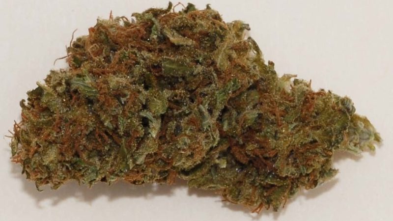 Weed price Prague. 
                    Valentine X Marijuana Strain