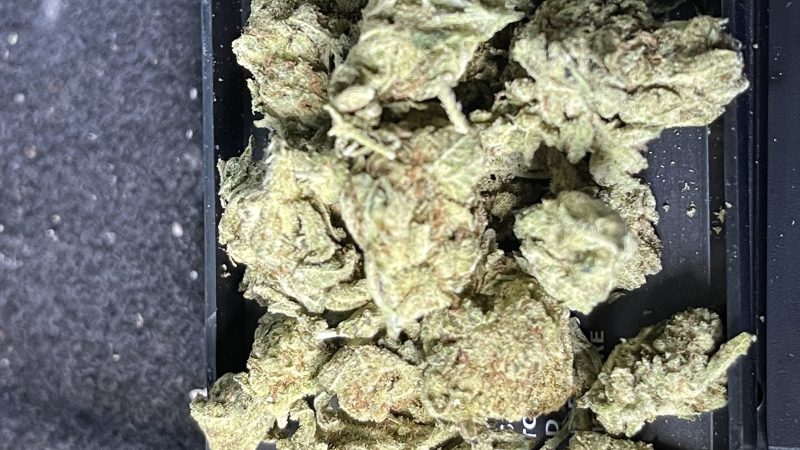 Weed price Prague. 
                    Starfruit Marijuana Strain