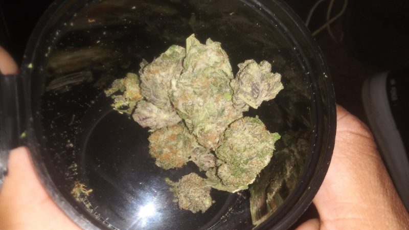 Weed price Prague. 
                    Klingon Marijuana Strain