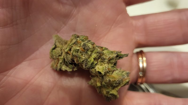 Weed price Prague. 
                    White Gummy Marijuana Strain