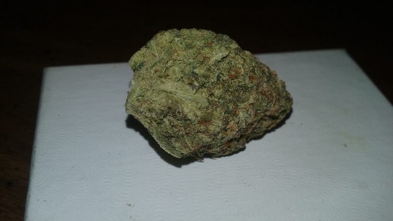 Weed price Prague. 
                    Green Queen Marijuana Strain