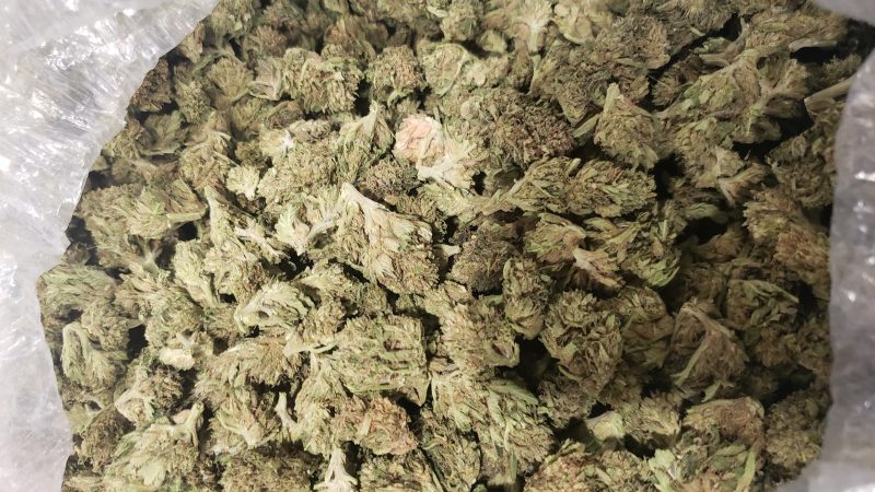 Weed price Prague. 
                    Frosted Cherry Cookies Marijuana Strain