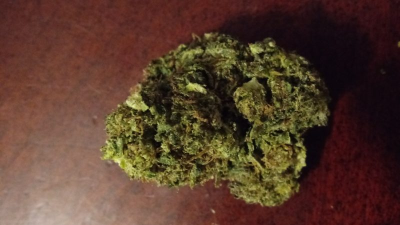 Weed price Prague. 
                    lodi dodi Marijuana Strain