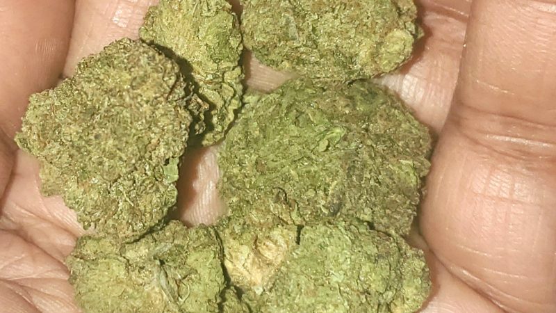 Weed price Prague. 
                    Guava Marijuana Strain