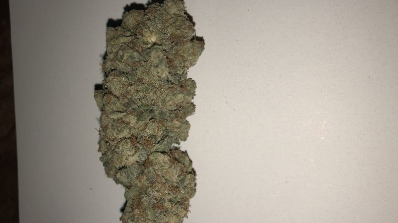 Weed price Prague. 
                    Moon Cookies Marijuana Strain