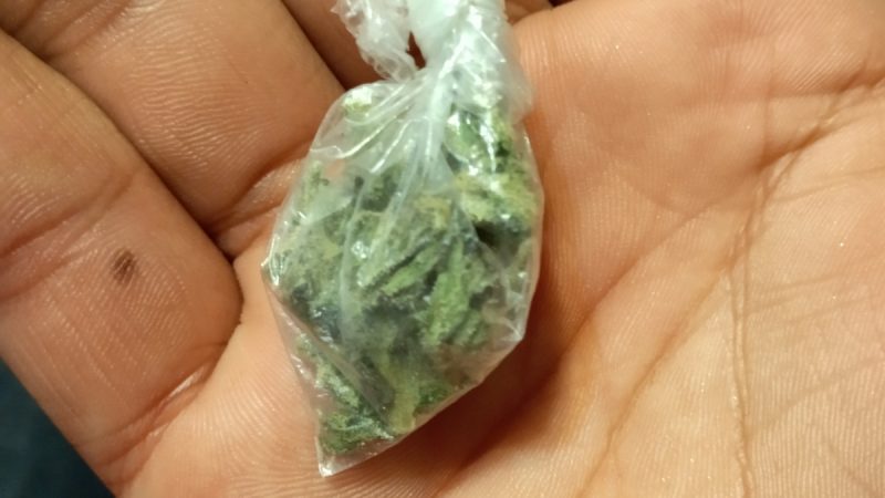 Weed price Prague. 
                    Hawaiian Marijuana Strain