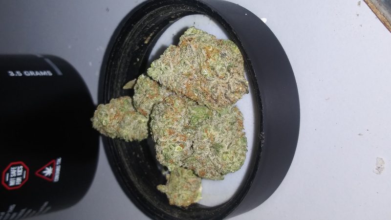 Weed price Prague. 
                    Tangerine Cookies Marijuana Strain