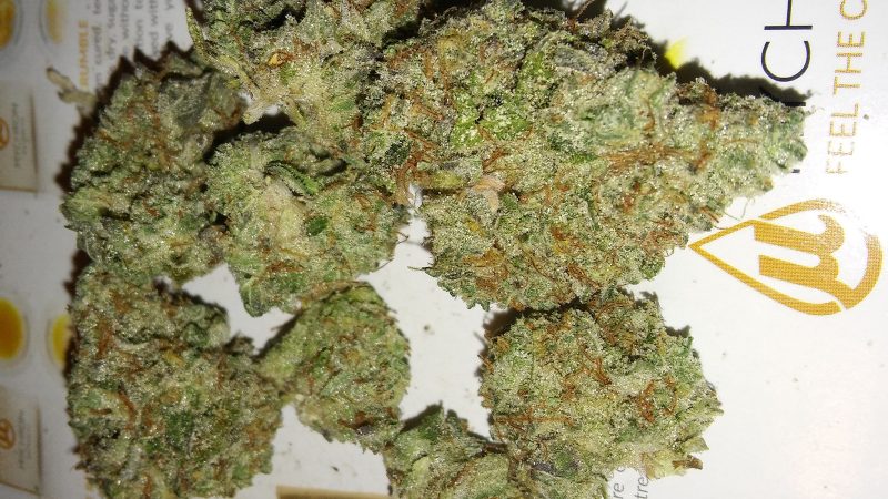 Weed price Prague. 
                    Afghani Bullrider Marijuana Strain