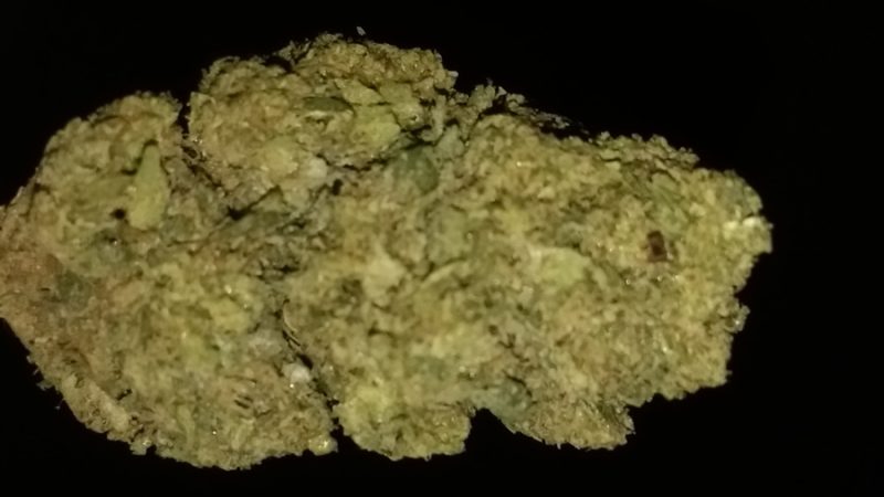 Weed price Prague. 
                    Royal Kush Marijuana Strain