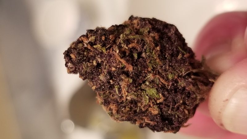 Weed price Prague. 
                    Black Cherry Soda Marijuana Strain