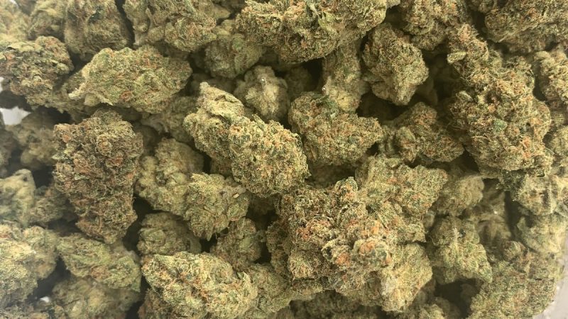 Weed price Prague. 
                    Blood Orange Marijuana Strain