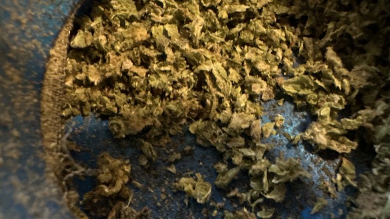 Weed price Prague. 
                    Road Trip Marijuana Strain