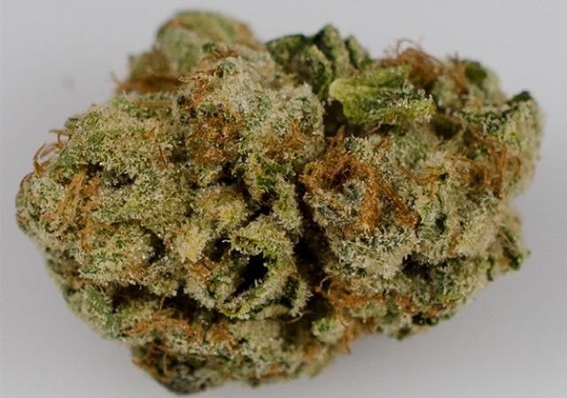 Weed price Prague. 
                    Brain OG Marijuana Strain