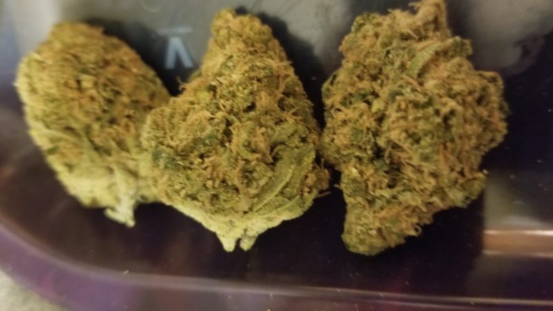 Weed price Prague. 
                    Green Crush Marijuana Strain