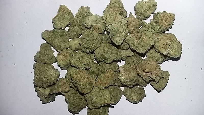 Weed price Prague. 
                    Trophy Wife Marijuana Strain