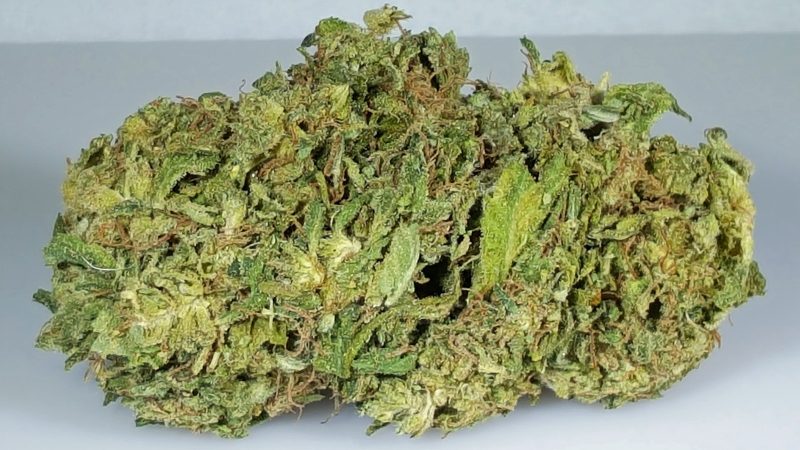 Weed price Prague. 
                    THC Bomb Marijuana Strain