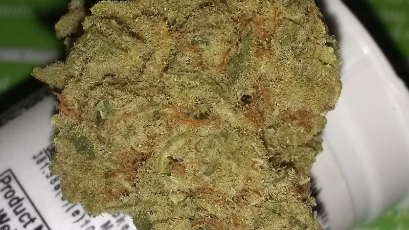Weed price Prague. 
                    Grape Stomper Marijuana Strain