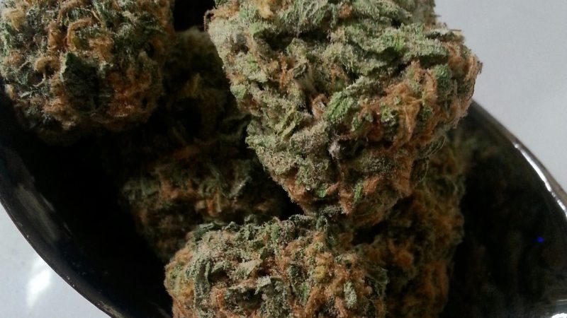 Weed price Prague. 
                    Orange Sherbet Marijuana Strain