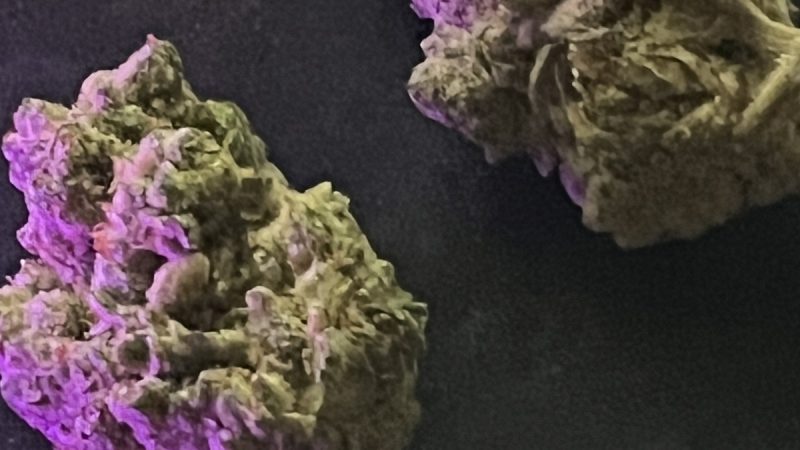 Weed price Prague. 
                    Apple Tartz Marijuana Strain