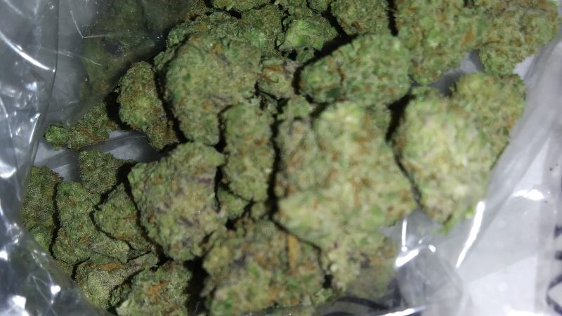 Weed price Prague. 
                    Juggernaut Marijuana Strain