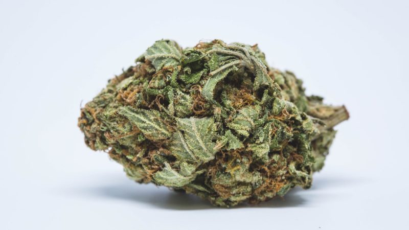 Weed price Prague. 
                    Valley Delight Marijuana Strain