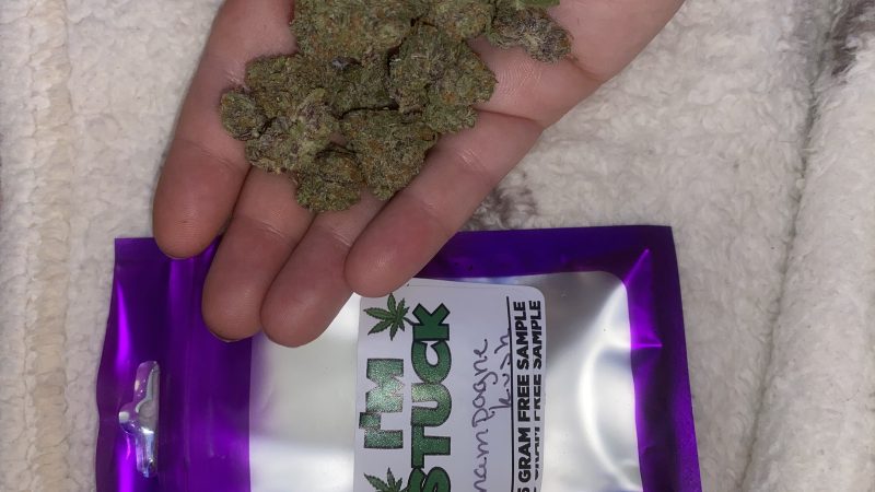 Weed price Prague. 
                    Champagne Kush Marijuana Strain