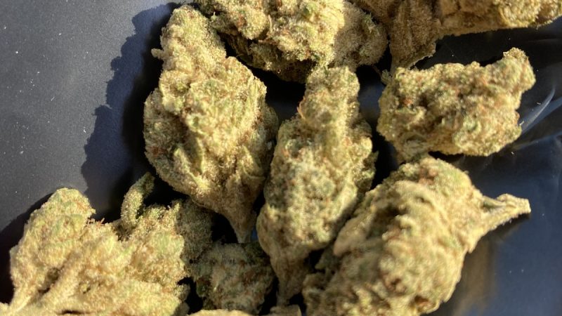 Weed price Prague. 
                    Lemon Cane Marijuana Strain