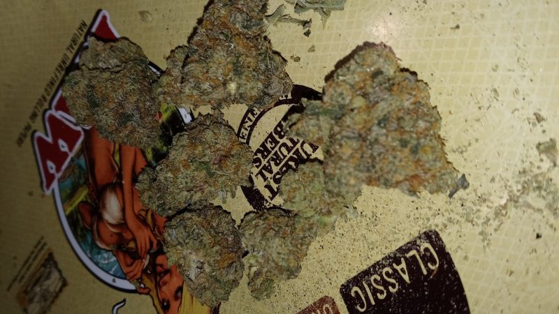 Weed price Prague. 
                    Scooby Snack Marijuana Strain