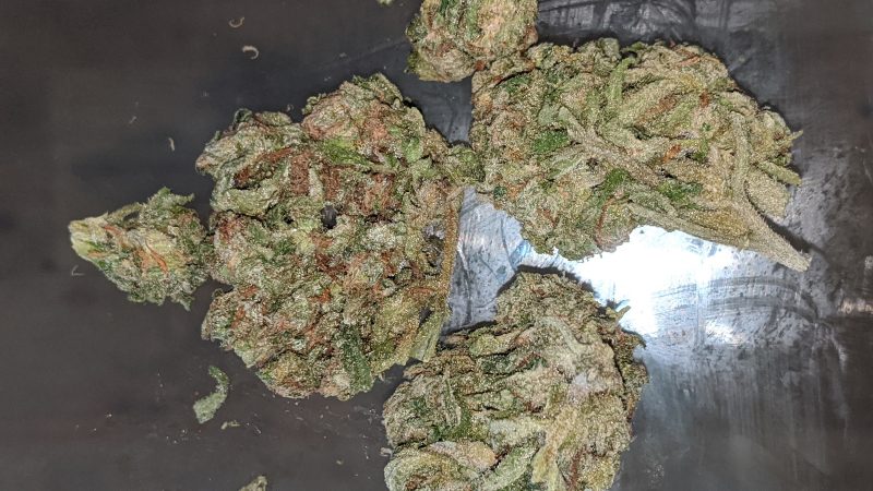 Weed price Prague. 
                    Chronic Marijuana Strain