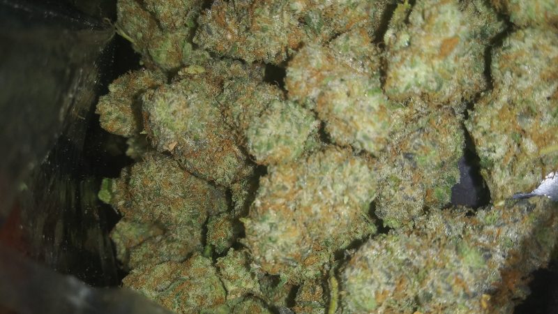 Weed price Prague. 
                    Banana Cream Marijuana Strain