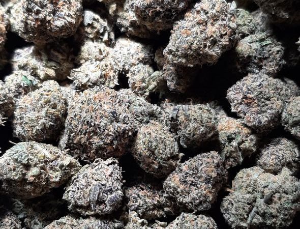 Weed price Prague. 
                    Yumberry Marijuana Strain