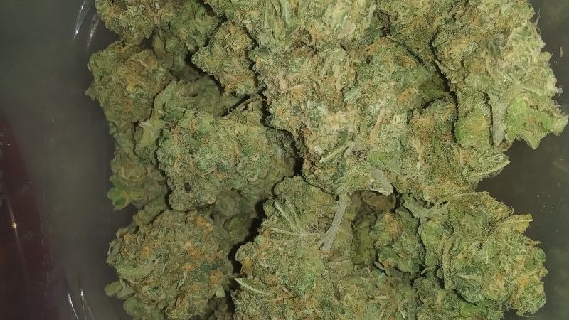 Weed price Prague. 
                    Diesel Wreck Marijuana Strain