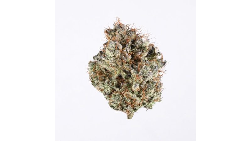 Weed price Prague. 
                    White Durban Marijuana Strain