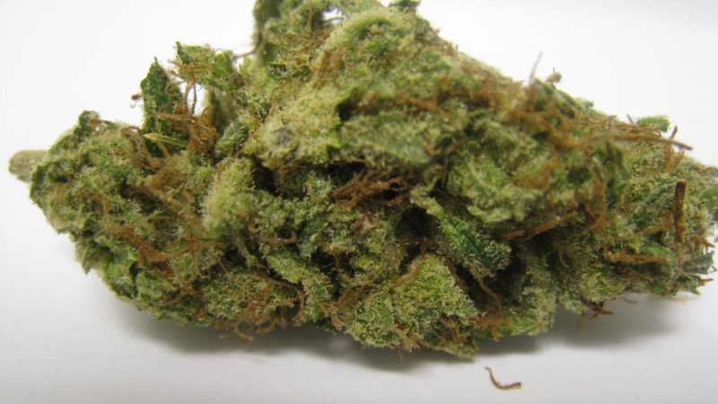Weed price Prague. 
                    Sun Berry Marijuana Strain