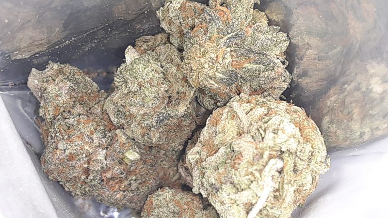 Weed price Prague. 
                    Purple Glue Marijuana Strain