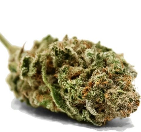 Weed price Prague. 
                     Sweet Lavender Diesel Marijuana Strain