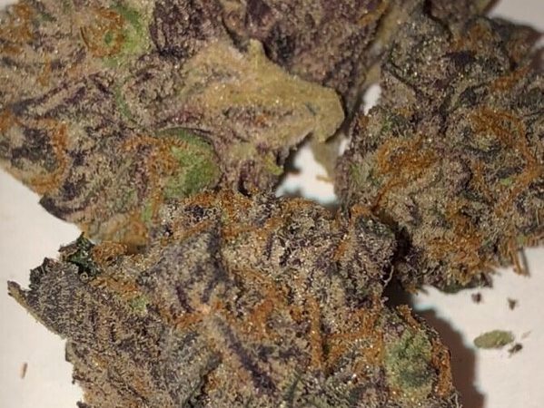 Weed price Prague. 
                    Montana Silver Marijuana Strain